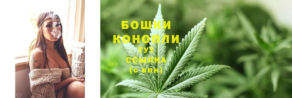 ГАЛЛЮЦИНОГЕННЫЕ ГРИБЫ Горнозаводск